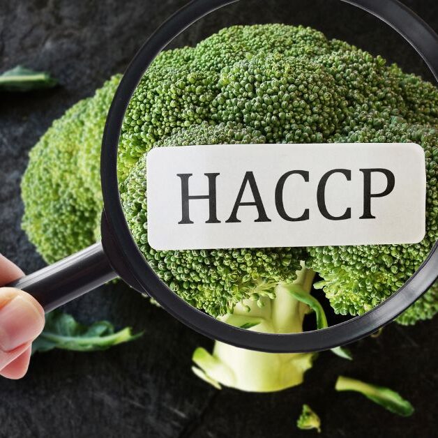 giubilesi associati - haccp